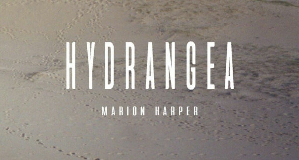 Marion Harper: “Hydrangea” (Luup Records)