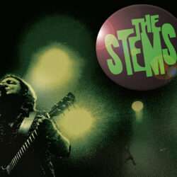 The Stems Offical Live Recording